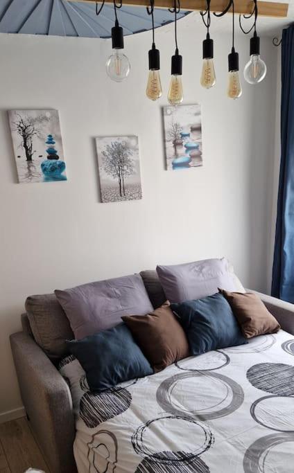 Nemo Petit Studio Cosy. Selongey Dış mekan fotoğraf